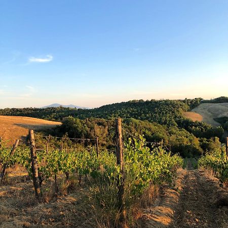 Podere Sole Trequanda Zewnętrze zdjęcie