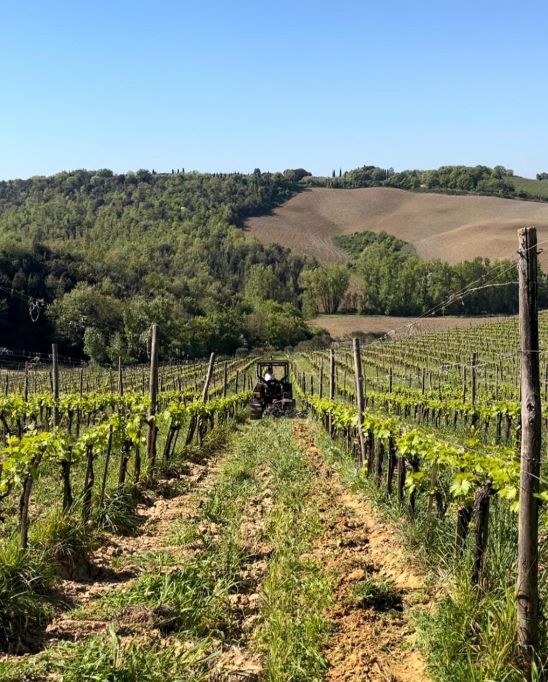 Podere Sole Trequanda Zewnętrze zdjęcie