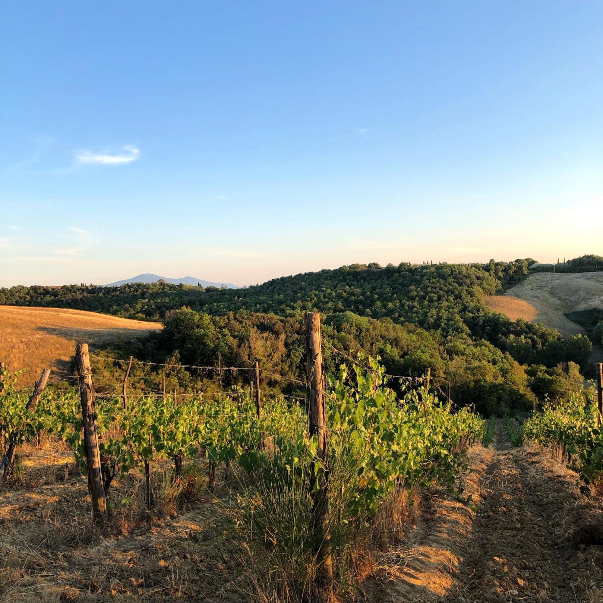 Podere Sole Trequanda Zewnętrze zdjęcie
